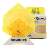DianSheng Mirror Skewb (Magnetic)