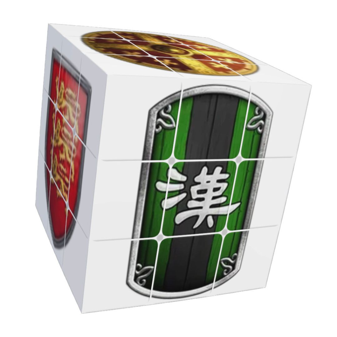 Custom Printed Speed Cubes