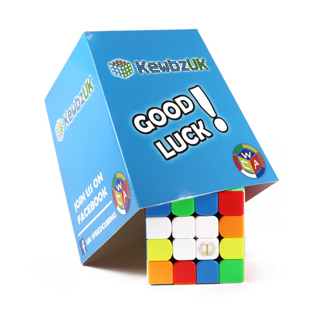 YuXin Master Kilominx (Magnetic) – KewbzUK