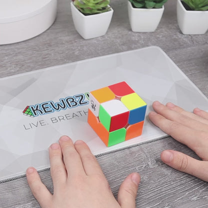 DaYan TengYun 2x2 (Magnetic)